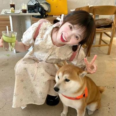 魔犬莱纳0011变身吧！